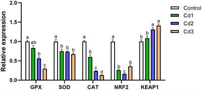 Cadmium stress induces gut microbiota imbalance and consequent activation of the gut–liver axis leading to liver injury and inflammation response in largemouth bass (Micropterus salmoides)